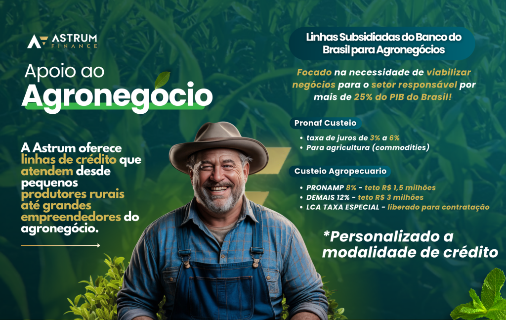 Linhas Subsidiadas do Banco do Brasil.